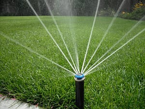 Mehr über den Artikel erfahren Richtige Wassermenge